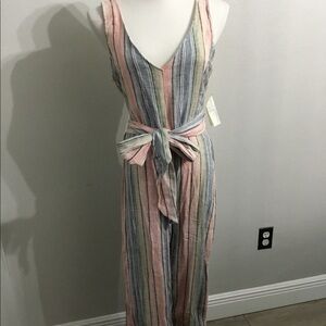 Indigo Rein Multi Colored Striped Jumpsuit